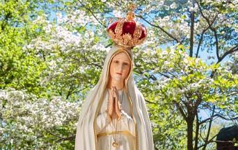 The Amazing Story of the Search for the Most Beautiful Fatima Statue