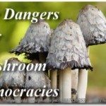The Dangers of Mushroom Democracies 2