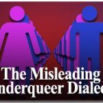 The Misleading Genderqueer Dialectic 2