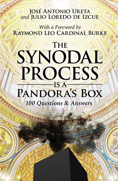 The Synodal Process Is a Pandora's Box: 100 Questions & Answers - TFP