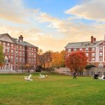 How DEI Has Destroyed Ivy League Universities