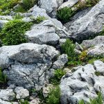 Can Rocks Be Racist? Some People Think So