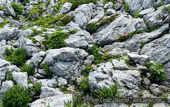 Can Rocks Be Racist? Some People Think So