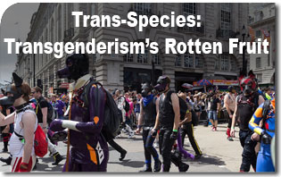 Trans-Species: Transgenderism’s Rotten Fruit