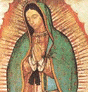 Our Lady of Guadalupe Insulted: This Isn't Just Any Blasphemy!