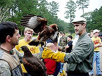 Many participants had the opportunity to hold and pet these magnificent birds.