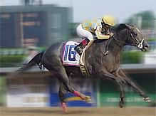 Monarchos, 2001 Kentucky Derby Winner