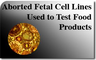 Aborted fetal cell lines used to test food products.jpg