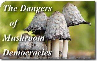 The Dangers of Mushroom Democracies