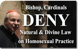 Bishop, Cardinals Deny Natural and Divine Law on Homosexual Practice