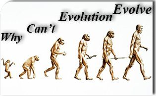 Why Can't Evolution Evolve