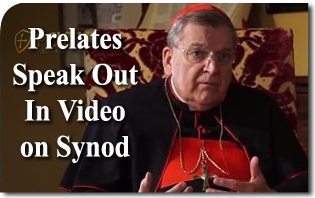 Prelates Speak Out In Video About Synod