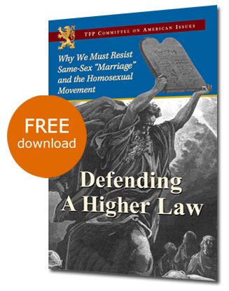 What They Are Saying About Defending a Higher Law