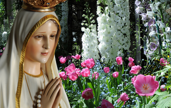 The Marvelous World of Our Lady’s Flowers