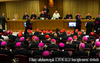 Papal Condemnations Show That Democratization Is Not the Solution to the Abuse Scandals