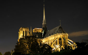 Notre-Dame de Paris: the Light and the Flames