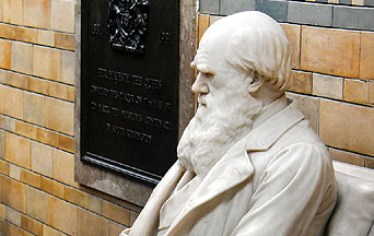 Yale Professor Has Dramatic Conversion From Darwinism
