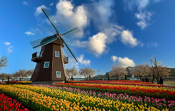Why Can’t They Make Beautiful Windmills?
